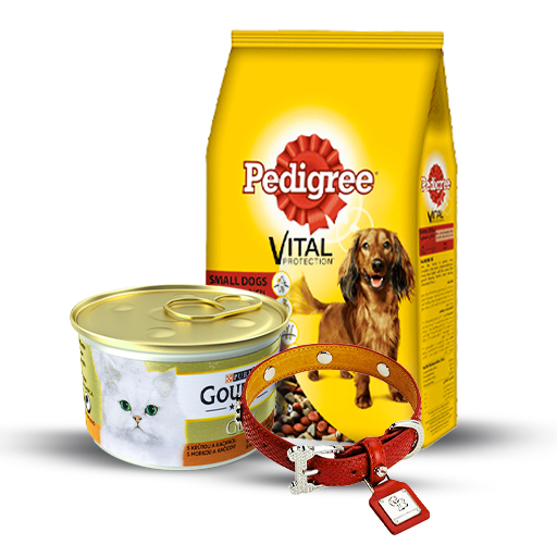 Pet Care