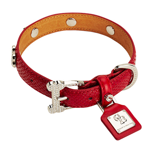 Pet Accessories
