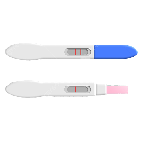 Pregnancy Test Kit